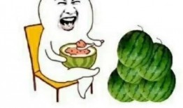 哪里可以吃娱乐圈瓜,揭秘明星们的幕后故事与幕后美食